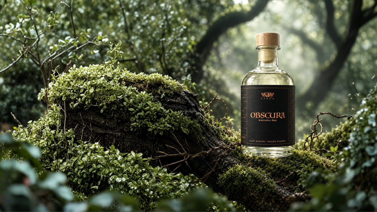 Bottiglia di Gin Obscura Esoteric Gin Tanca su un tronco coperto di muschio in un bosco